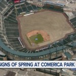 Comerica Park Makeover: New Sod & New Eats